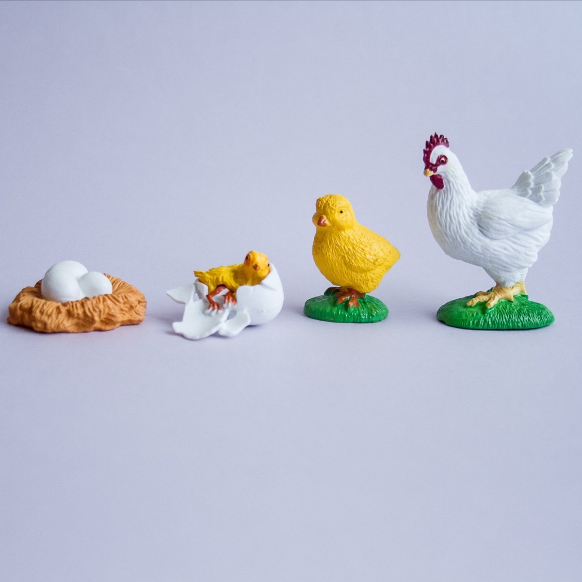 Ciclo de Vida del Pollo - Juego Educativo Montessori - Aipai