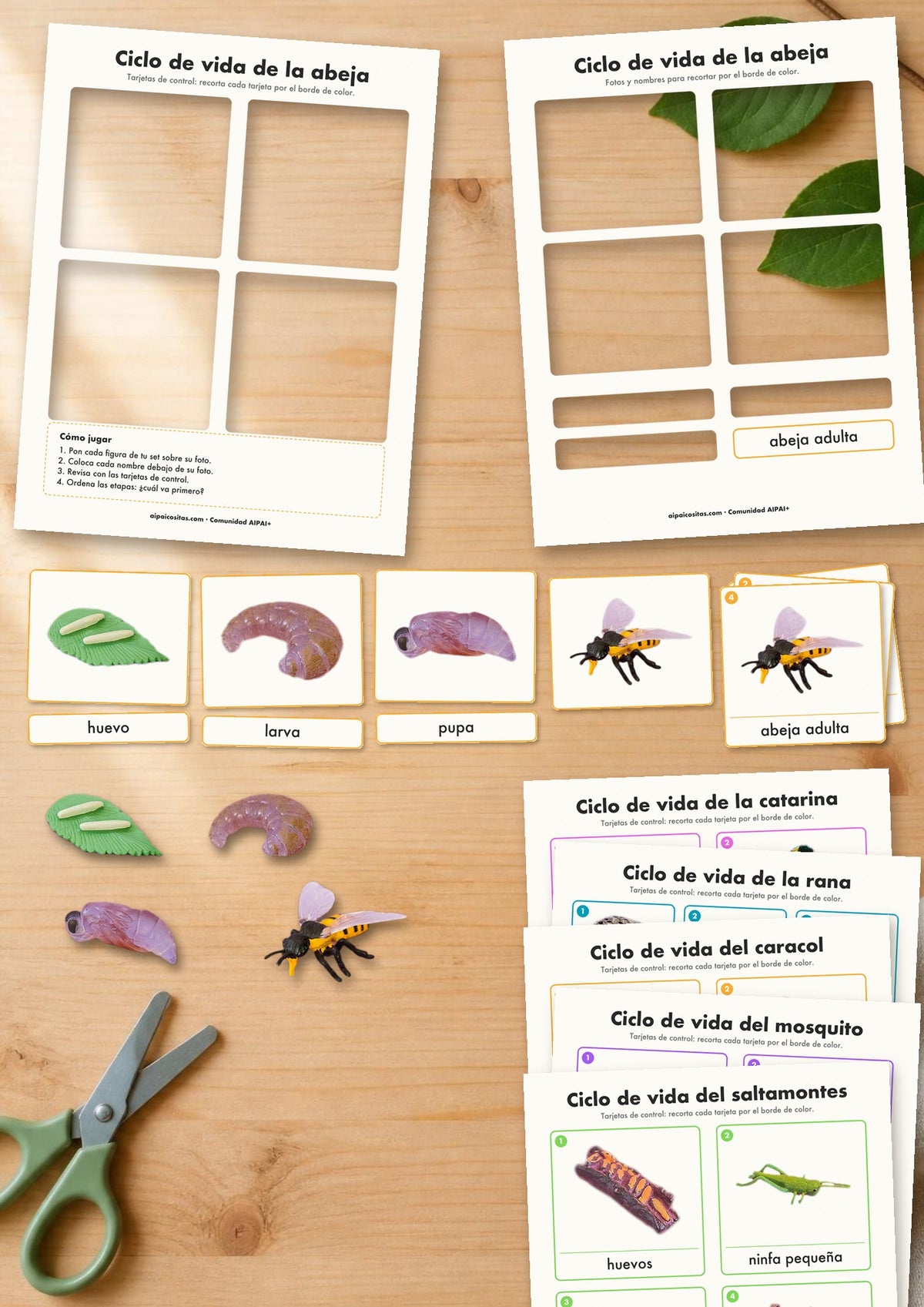 Tarjetas de los ciclos de vida de AIPAI recortadas sobre la mesa, con las figuras del set de la abeja