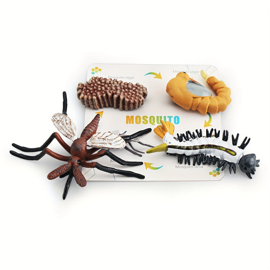 Ciclo de vida del mosquito en miniatura con tarjeta educativa