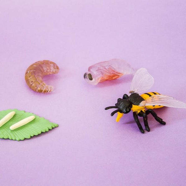 MIKNEKE Figuras del Ciclo de Vida de Animales Montessori, Juguetes de Aprendizaje y Educación, Juguetes de Ciclo de Vida de Insectos de Plástico para Niños, Actividades de Aprendizaje Preescolar para